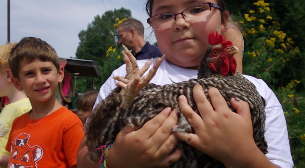 chicken