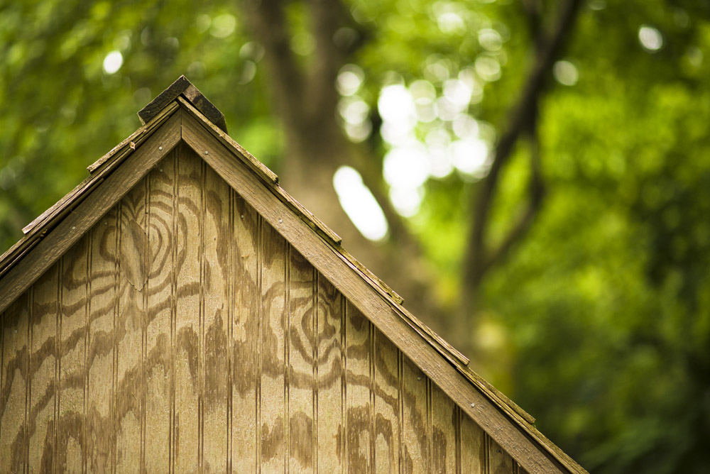 Chicken Coop